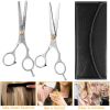 Precision Pro Styling Shears
