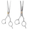 Precision Pro Styling Shears