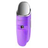 GlowMist Hydrating Facial Sprayer